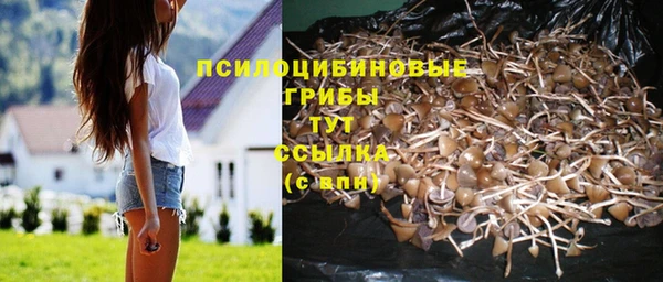 гидропоника Володарск
