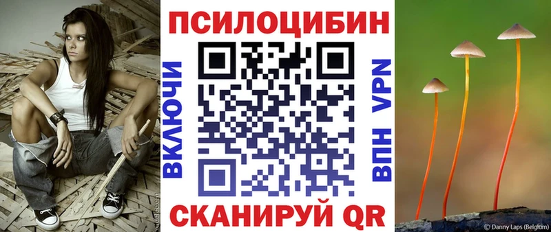 Галлюциногенные грибы ЛСД blacksprut маркетплейс нарко площадка какой сайт Шагонар