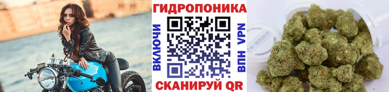 Марихуана VHQ  купить наркотик  Шагонар 